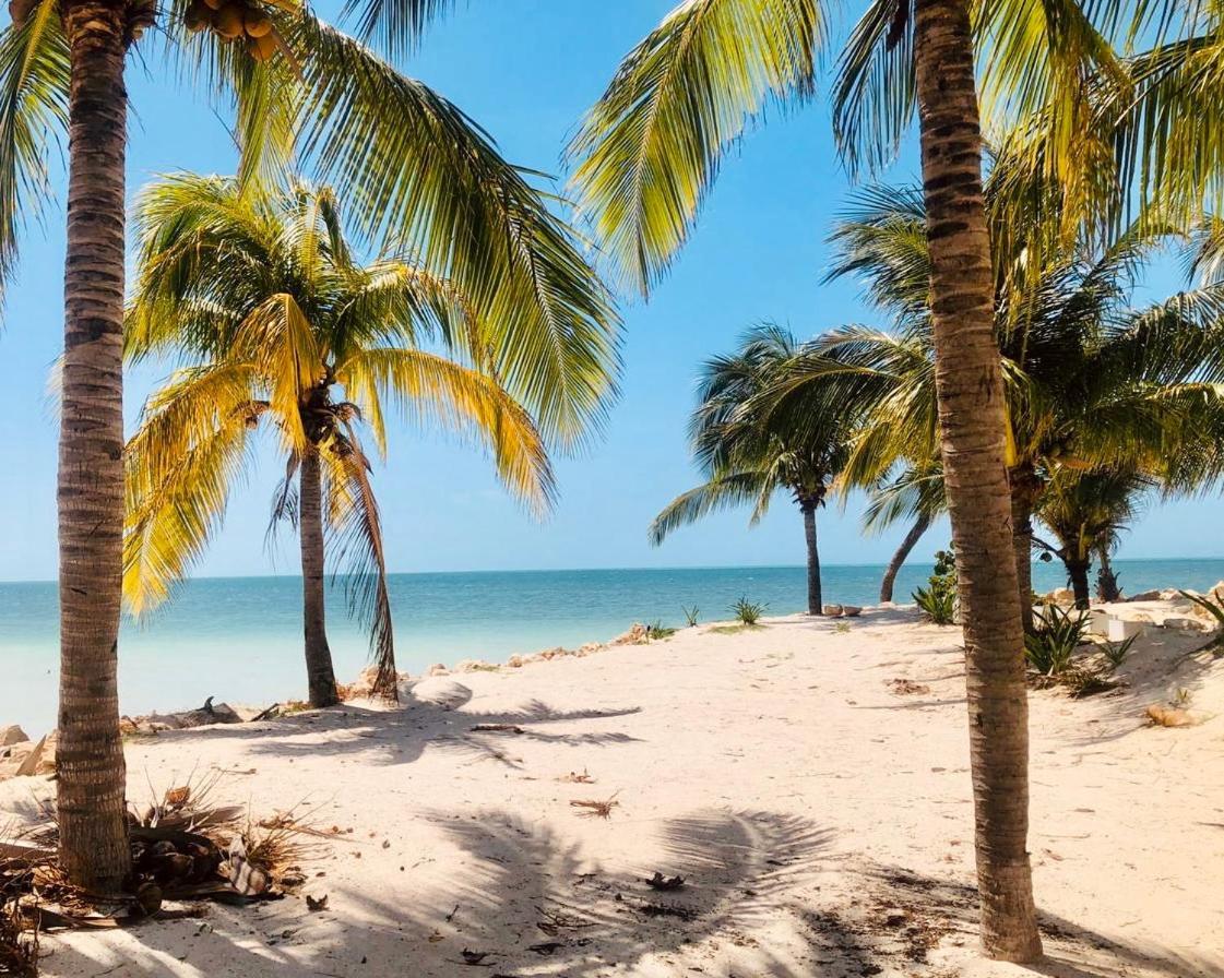 Corazon Mexicano Holbox エクステリア 写真